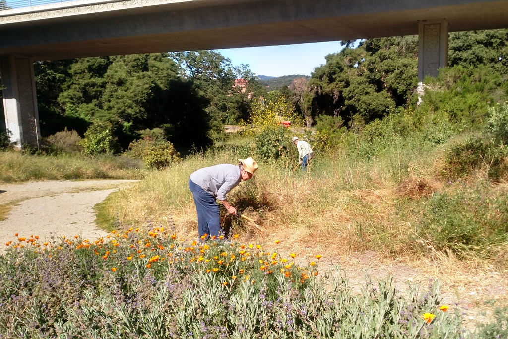 Deborah and Deb pulling weeds and cutting down thistle.